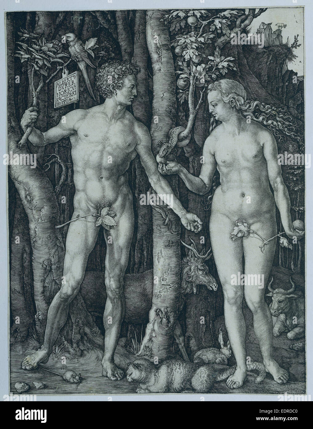 Adam und Eva, Albrecht Dürer 1504 Stockfoto