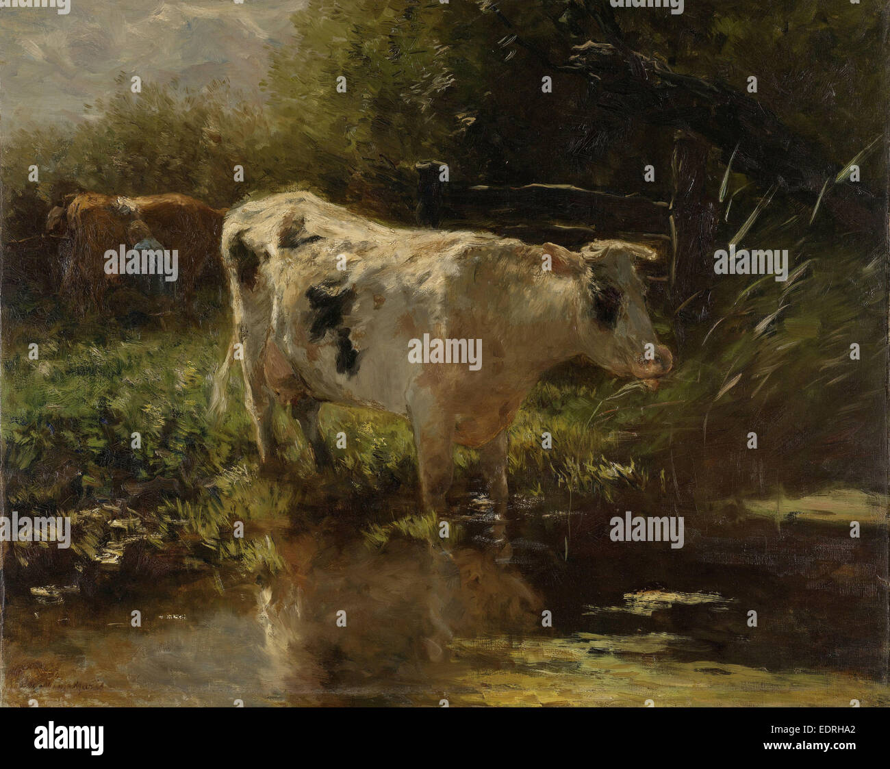 Kuh neben einem Graben, Willem Maris, c. 1885 - c. 1895 Stockfoto