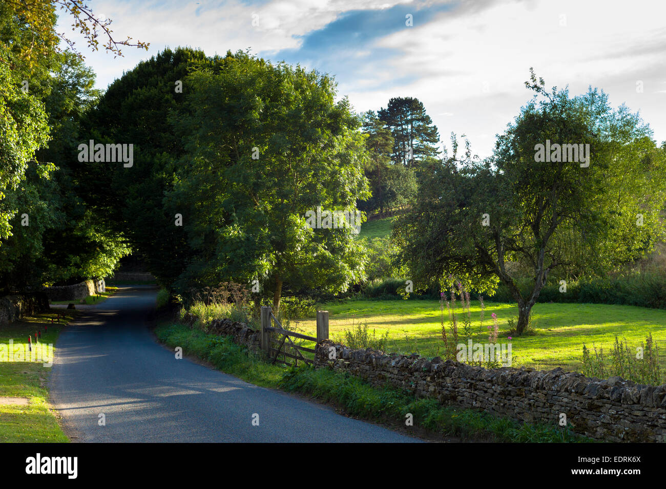 Country Lane ländliche Szene in Swinbrook in Cotswolds, England, Vereinigtes Königreich Stockfoto