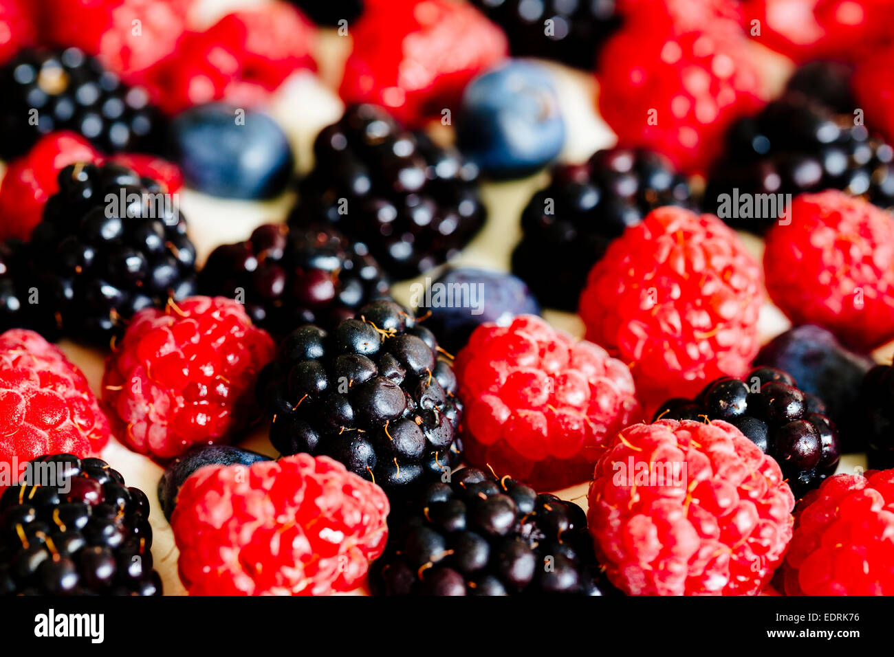 Berry und Mascarpone Torte Stockfoto
