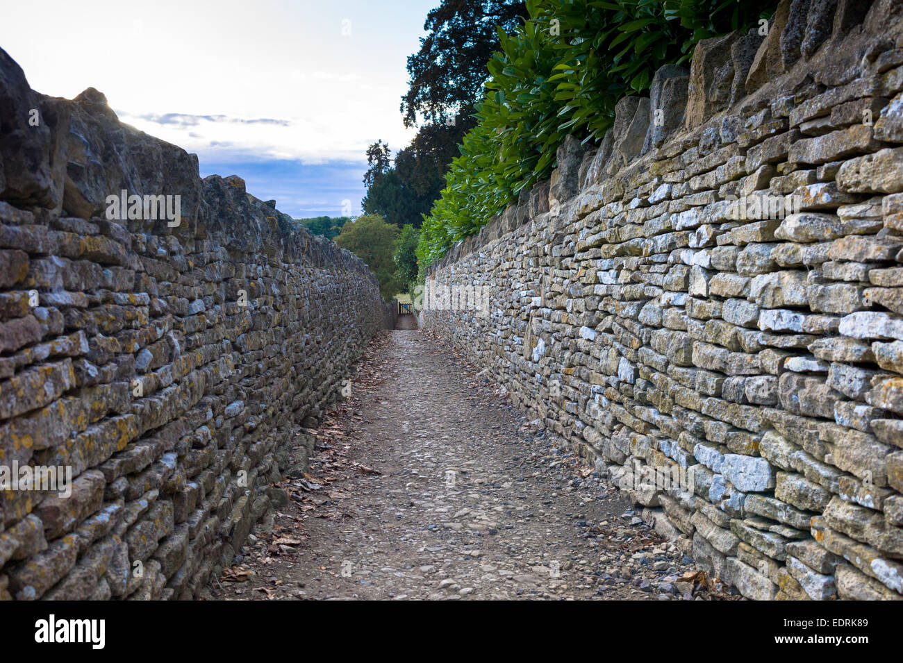 Trockenmauern, Trockenmauern, Linie einem Feldweg zu Fuß in Swinbrook, Cotswolds, England, UK Stockfoto