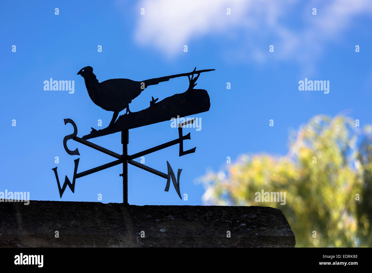 Ohrstecker Mit Kompassrose-Motiv – Windrose, Handgefertigt In Deutschland