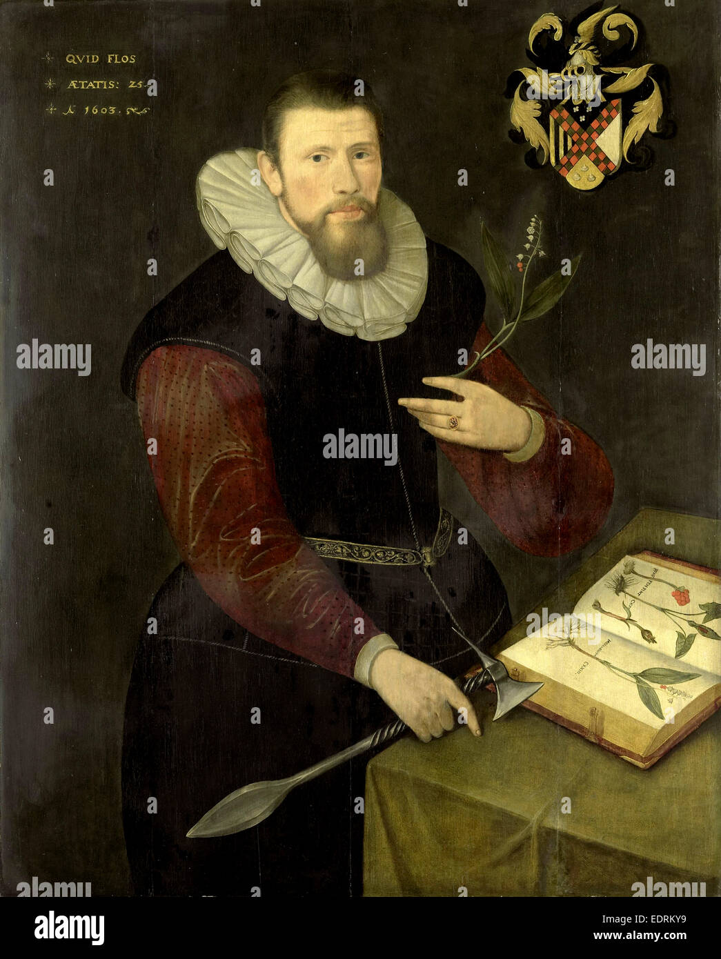 Porträt eines Botanikers, anonym, 1603 Stockfoto