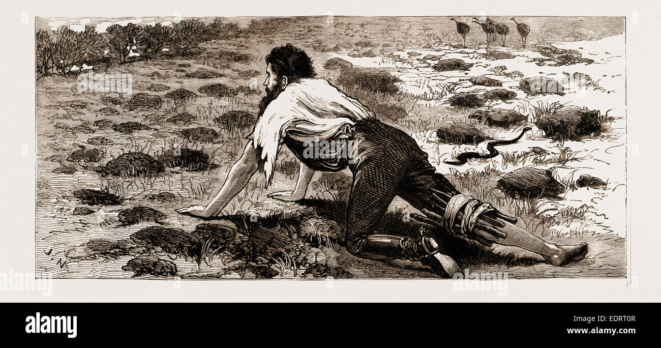 VON SEINEM PFERD GEWORFEN, DEAKTIVIERT A STOCKMAN IN DEN BUSCH, NEW SOUTH WALES, AUSTRALIEN, 1883 Stockfoto