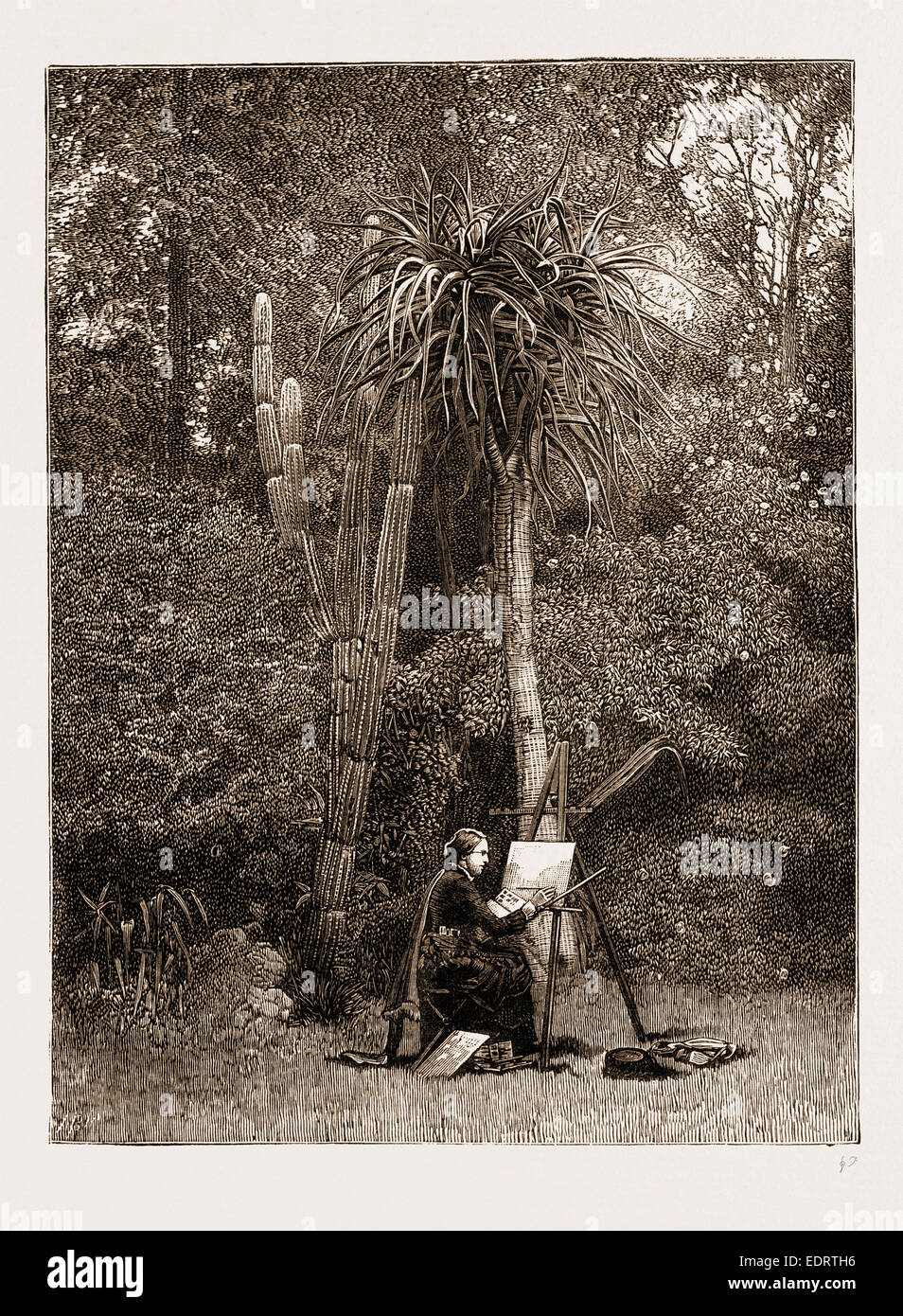 MISS NORTH, DIE FLORAL KÜNSTLER, AT ARBEITEN IN GRAHAMSTOWN, SÜDAFRIKA, 1883 Stockfoto