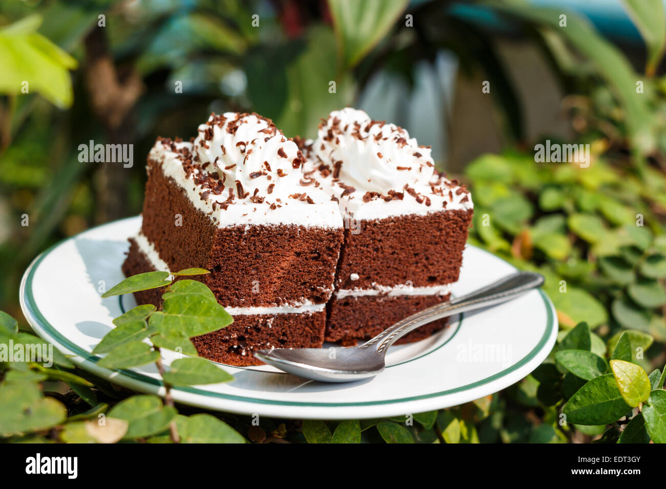 Schokoladekuchen mit weiße Creme obendrauf und Löffel auf Platte im Garten Stockfoto