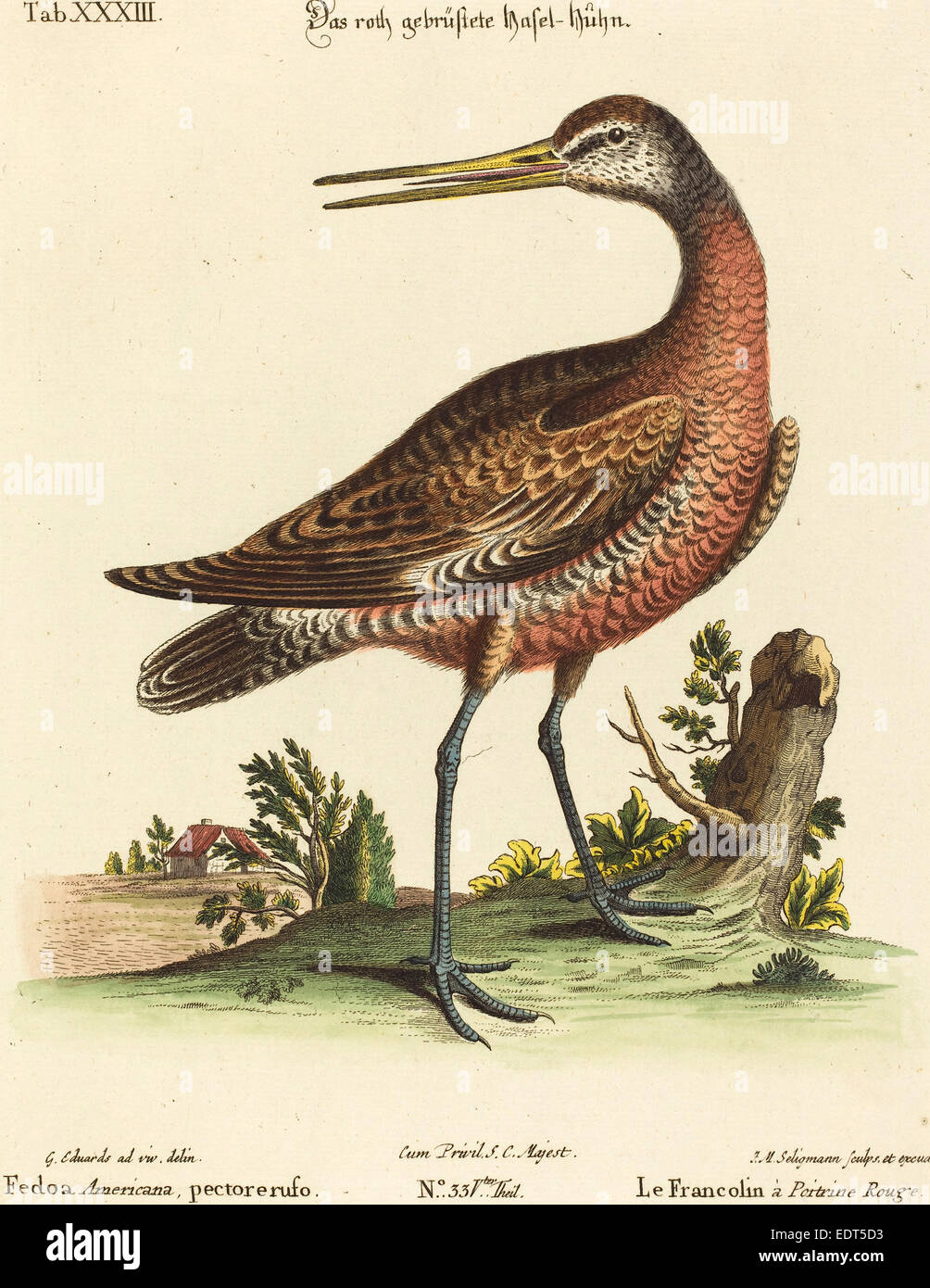 Seligmann johann michael Fotos und Bildmaterial in hoher Auflösung