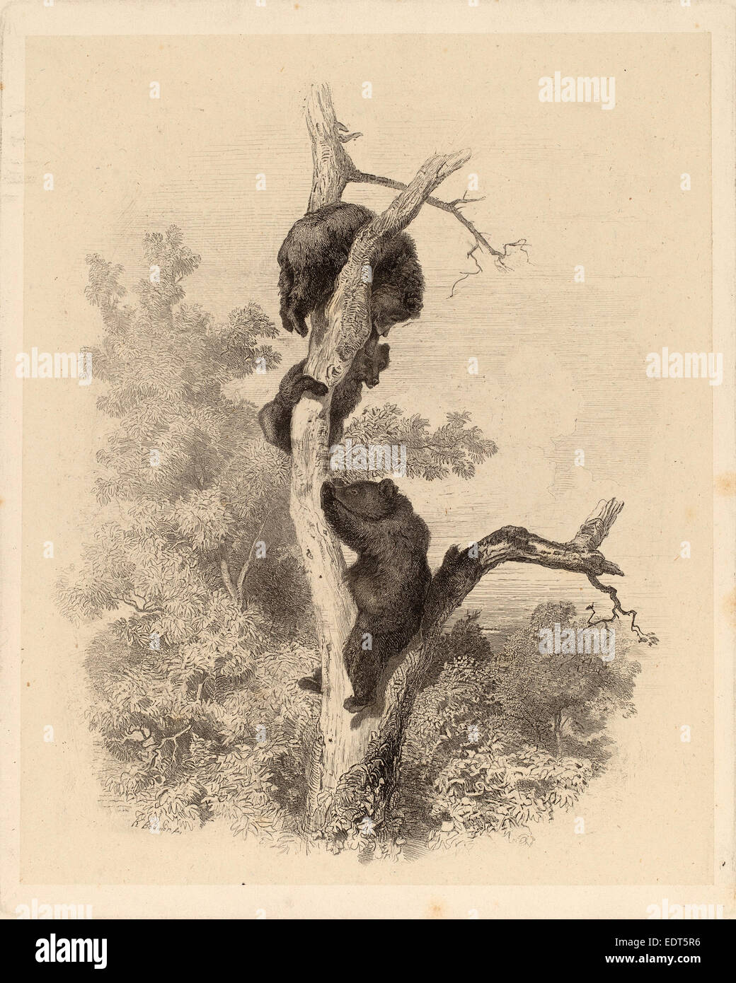 Karl Bodmer, Les Ours (The Bears), Schweizer, 1809-1893, 1858-1874, Radierung in schwarz auf Chine collé Stockfoto