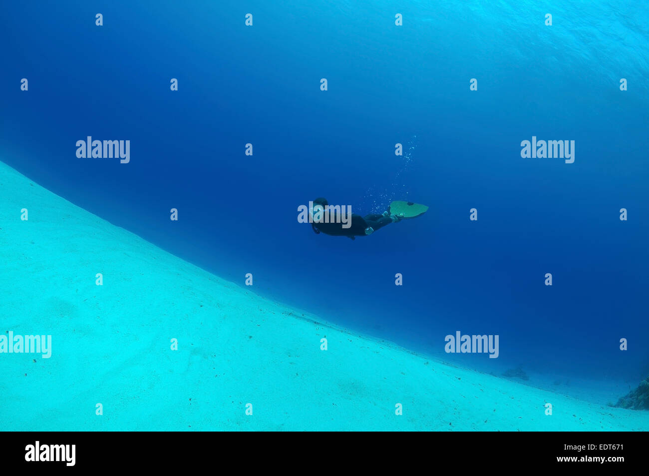 Freediver schwimmt über sandigem Untergrund, Rotes Meer, Ägypten Stockfoto