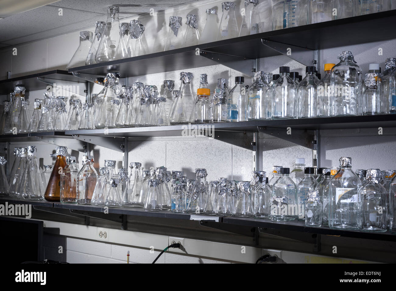 Leere Flaschen & Becher auf Regal im Chemielabor Stockfoto
