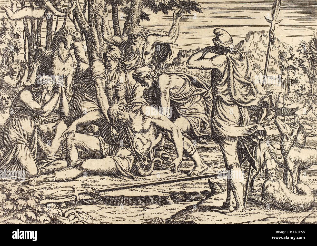 Léon Davent nach Luca Penni (Französisch (?), aktive 1540-1556), der Tod des Adonis, Radierung Stockfoto