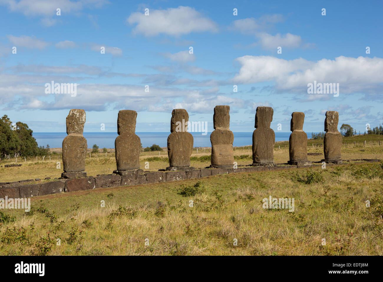 Moai-Statuen auf der Osterinsel Stockfoto