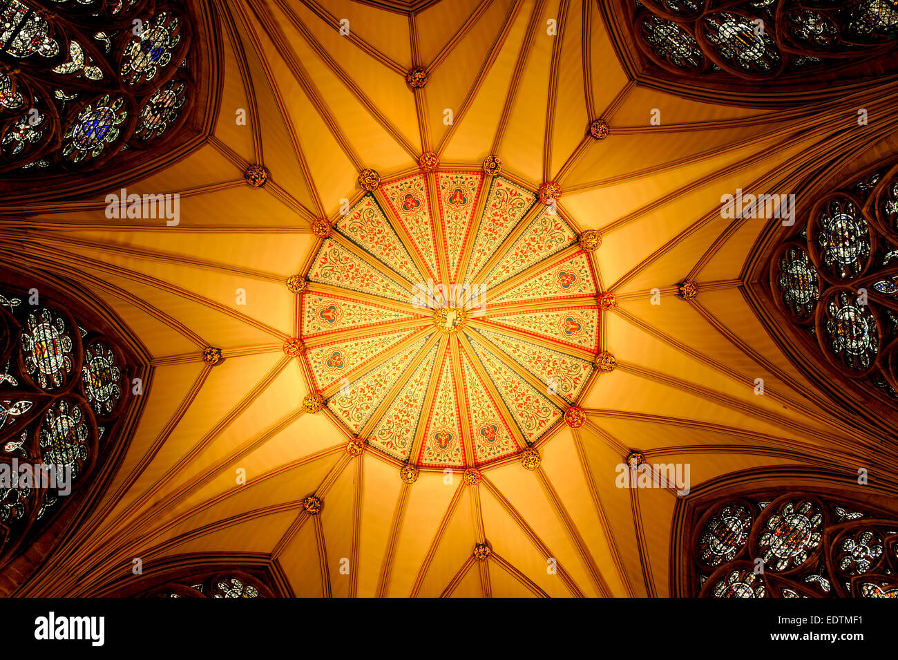 YORK MINSTER DECKE DETAIL Stockfoto