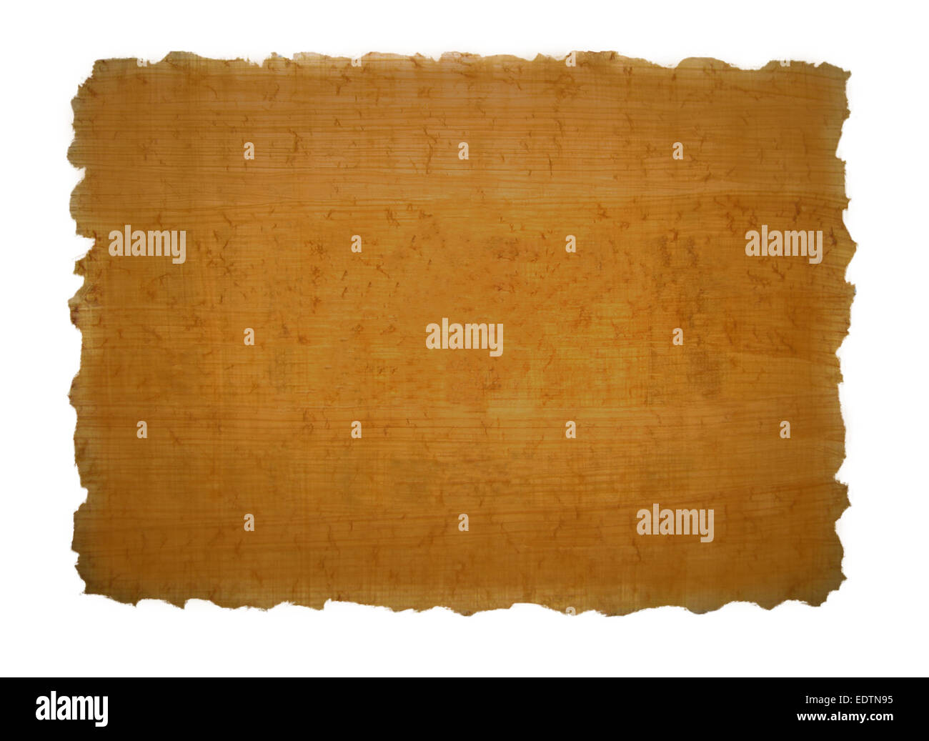 Stück Papyrus Textur Stockfoto