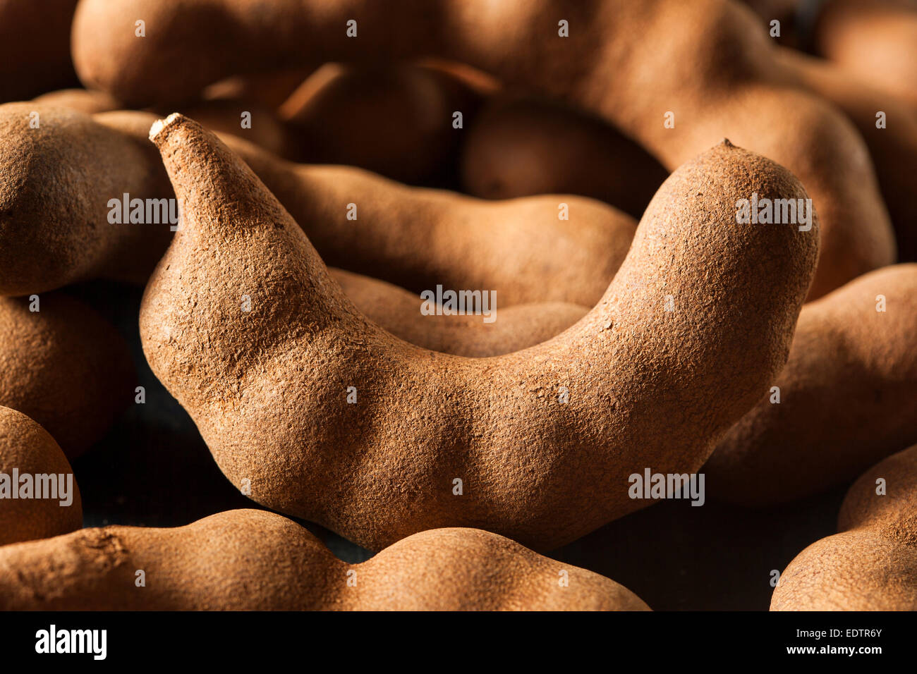 Organische Rohstoffe braun Tamarind auf einem Hintergrund Stockfoto
