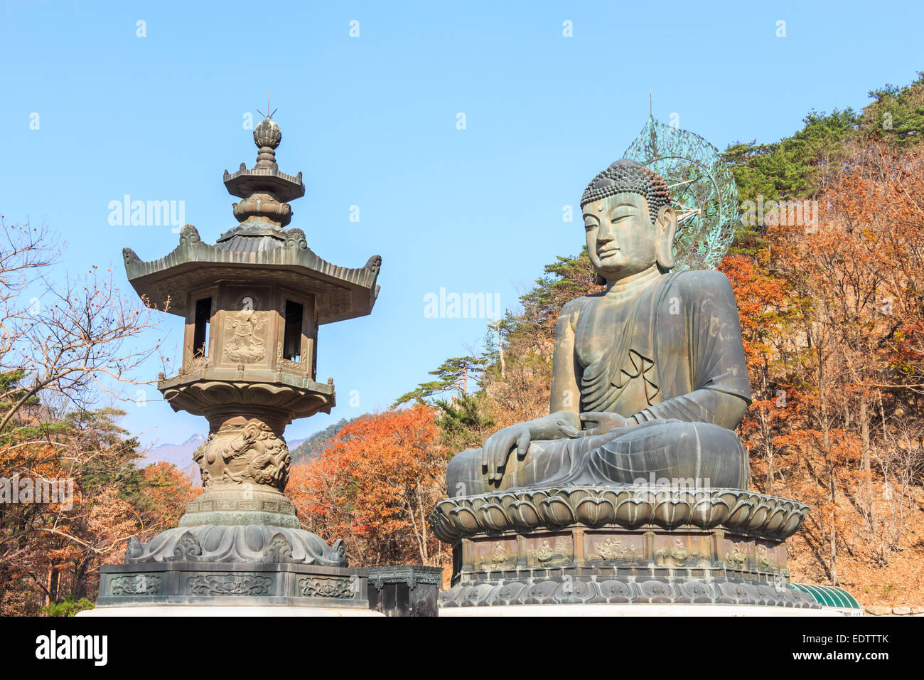 Statue von Buddha und bunten Bäumen am Shinheungsa Tempel im Seoraksan Nationalpark im Herbst, Korea Stockfoto