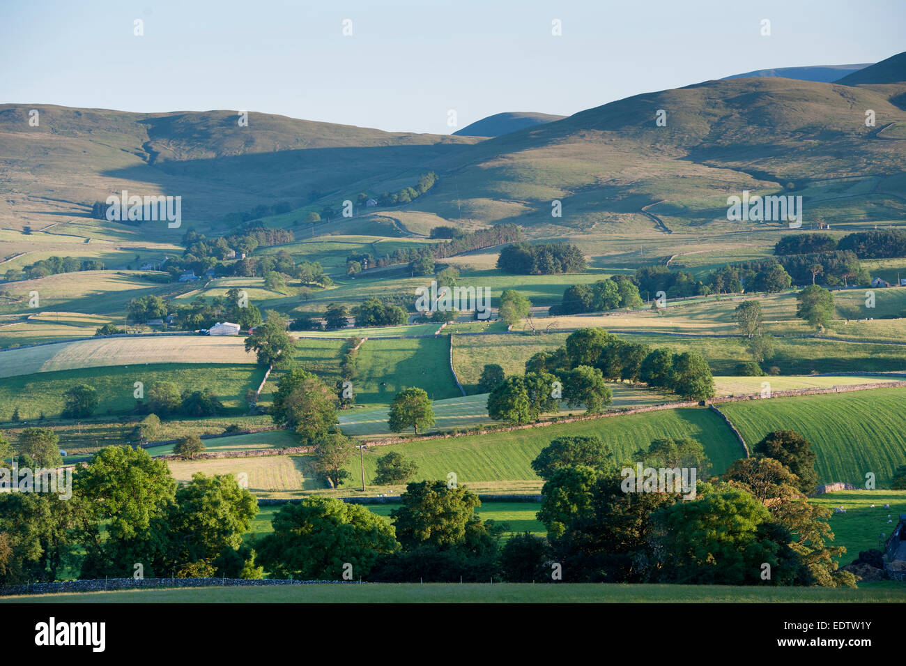 Ackerland um Ravenstonedale in der Eden Valley, Cumbria, auf einem angenehmen Sommerabend. Stockfoto