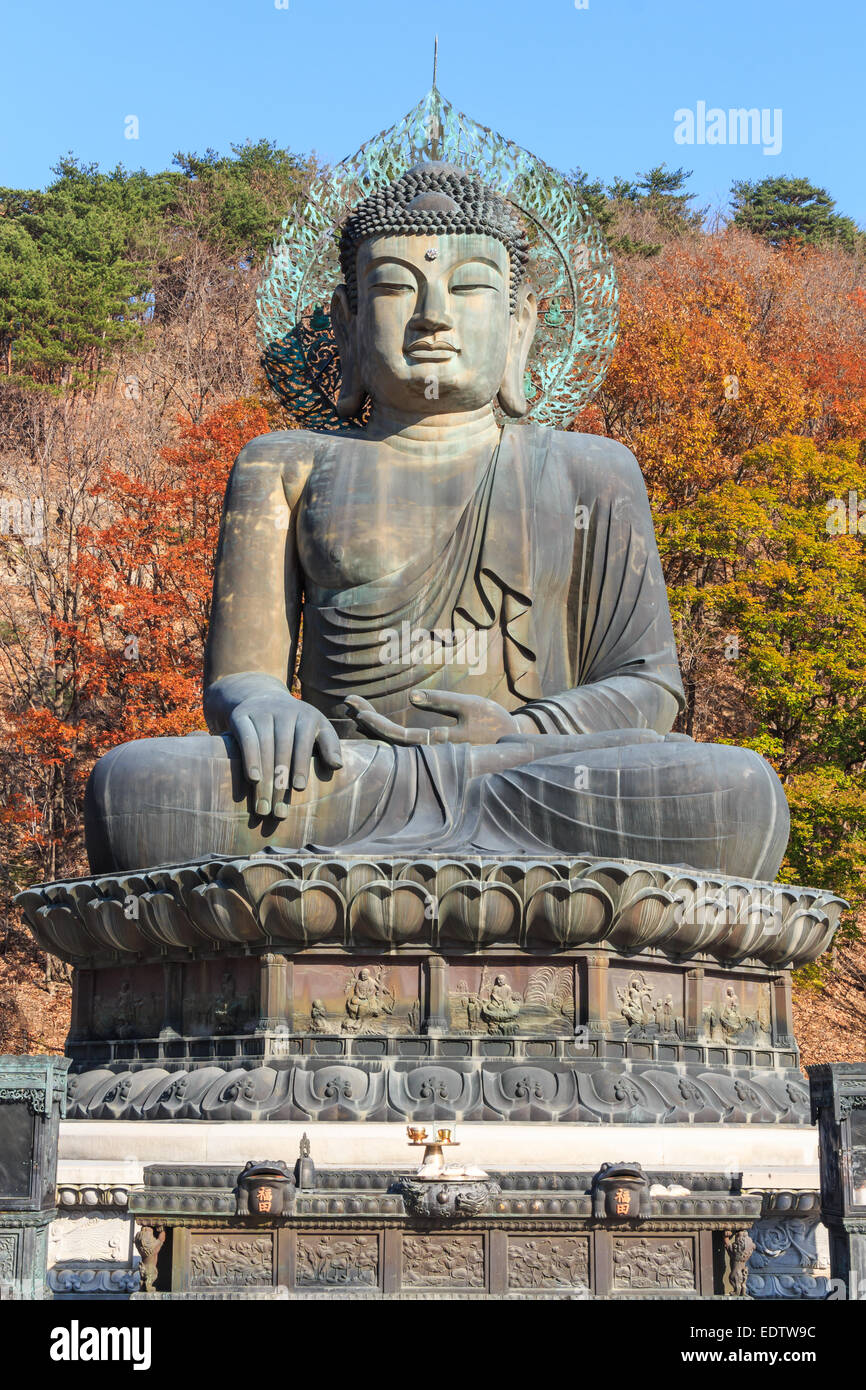 Statue von Buddha und bunt der Baum im Herbst im alten Tempel im Seoraksan Nationalpark, Korea Stockfoto