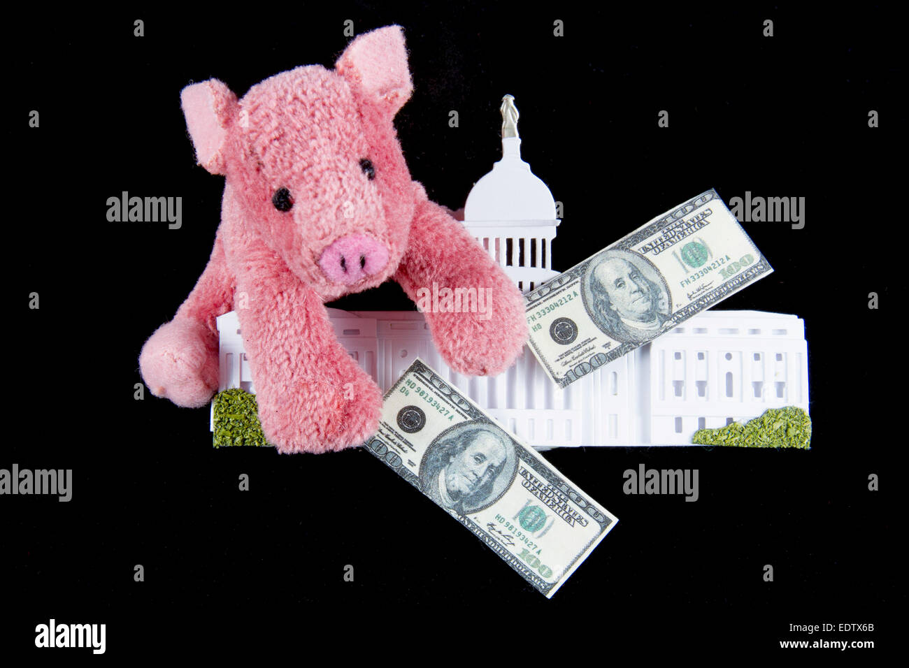 Rosa Schwein umarmt Nachbau des US Capitol Gebäude entspricht Schweinefleisch Barrel Ausgaben im Congressional budget Stockfoto