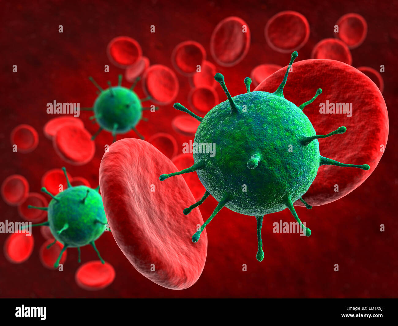 3D Render des Virus und roten Blutkörperchen im Hintergrund Stockfoto