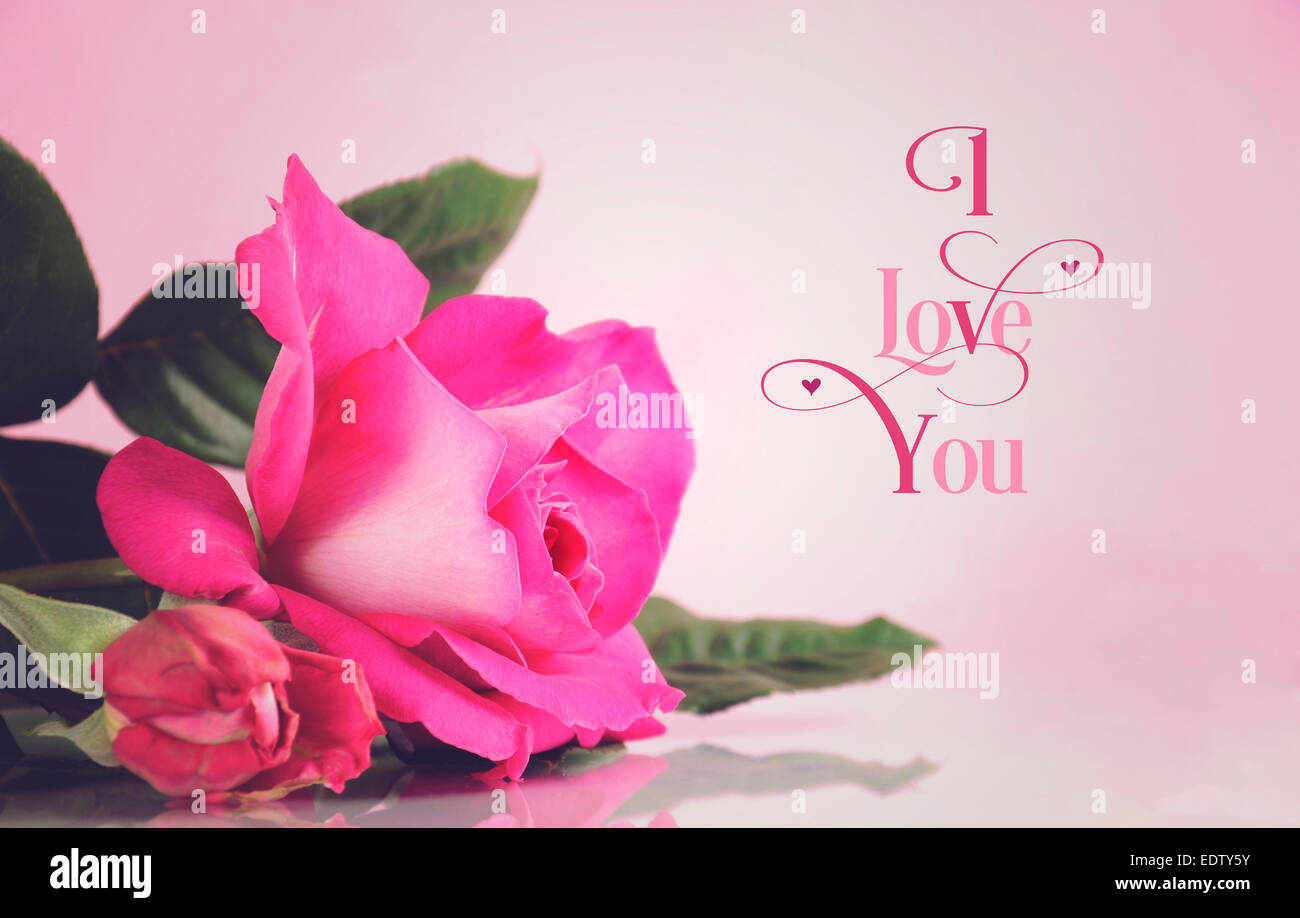 Happy Valentines Day Gruß mit Retro-Vintage-Stil rosa Rose mit I Love You Beispieltext Gruß Nachricht. Stockfoto