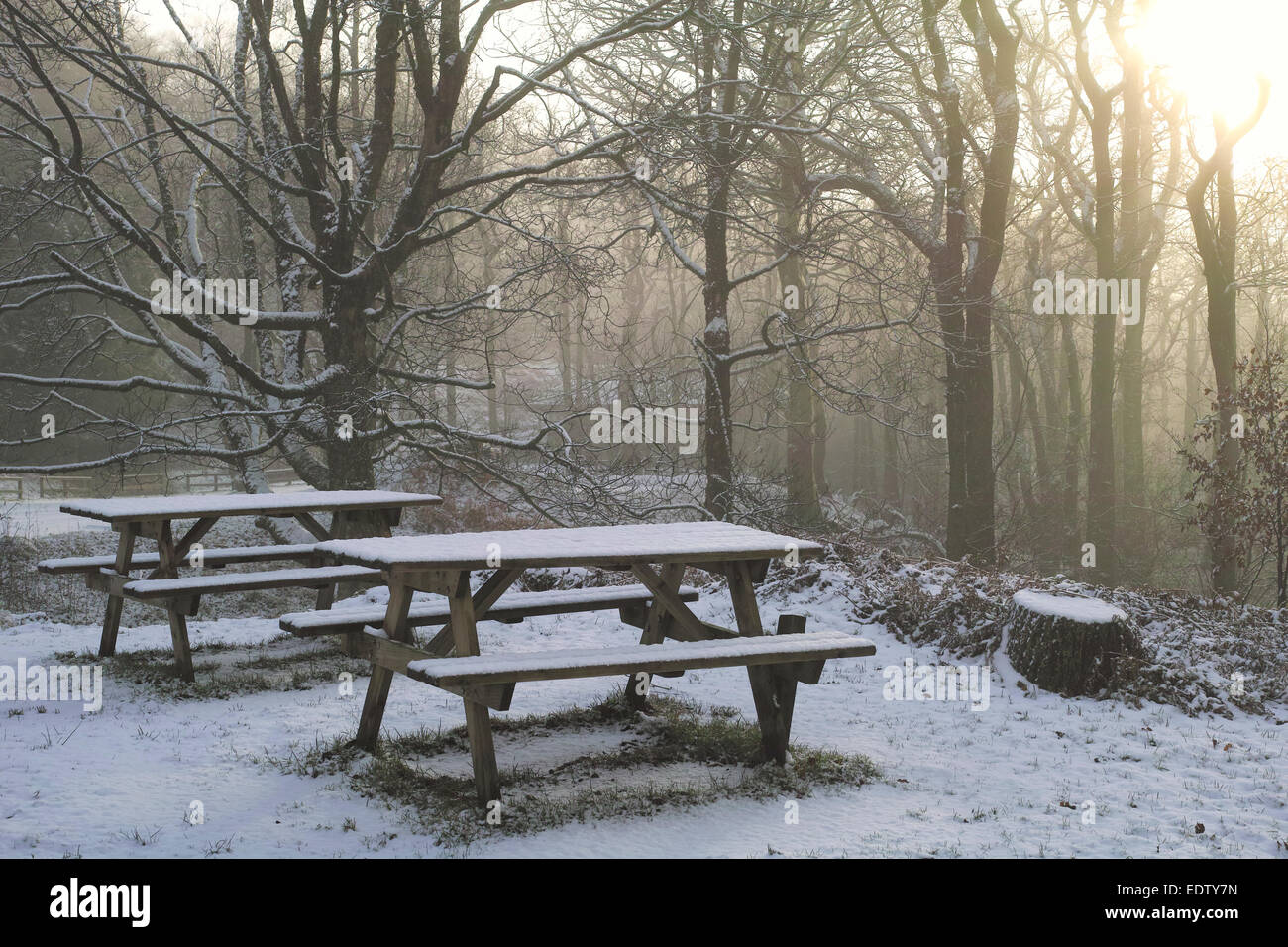 Winterwetter, Holzbänken und Tischen fallenden Schnee in Cumbria, England Stockfoto