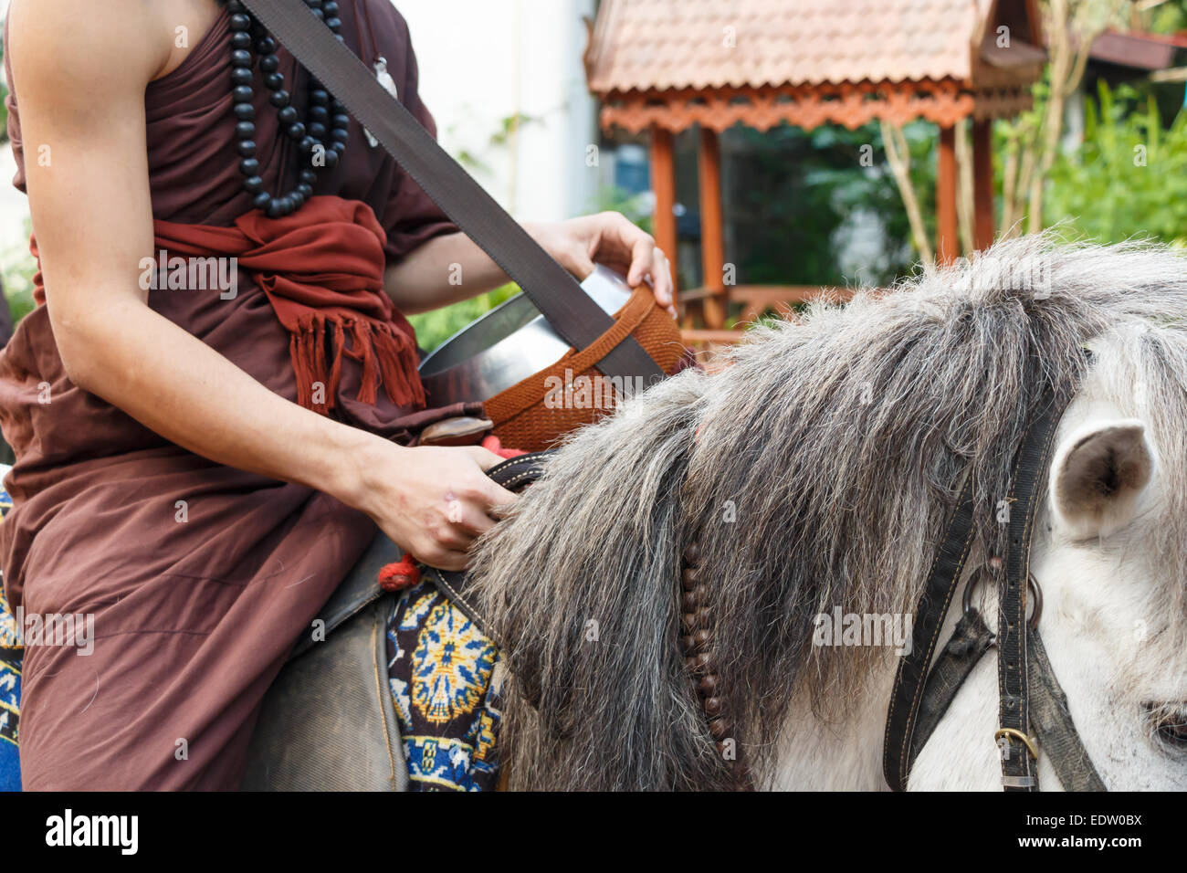 Buddhistischer Mönch mit braunen Gewand Pferd Reiten und bitten um Almosen (ungesehen in Thailand) bei Chiangrai, Thailand Stockfoto