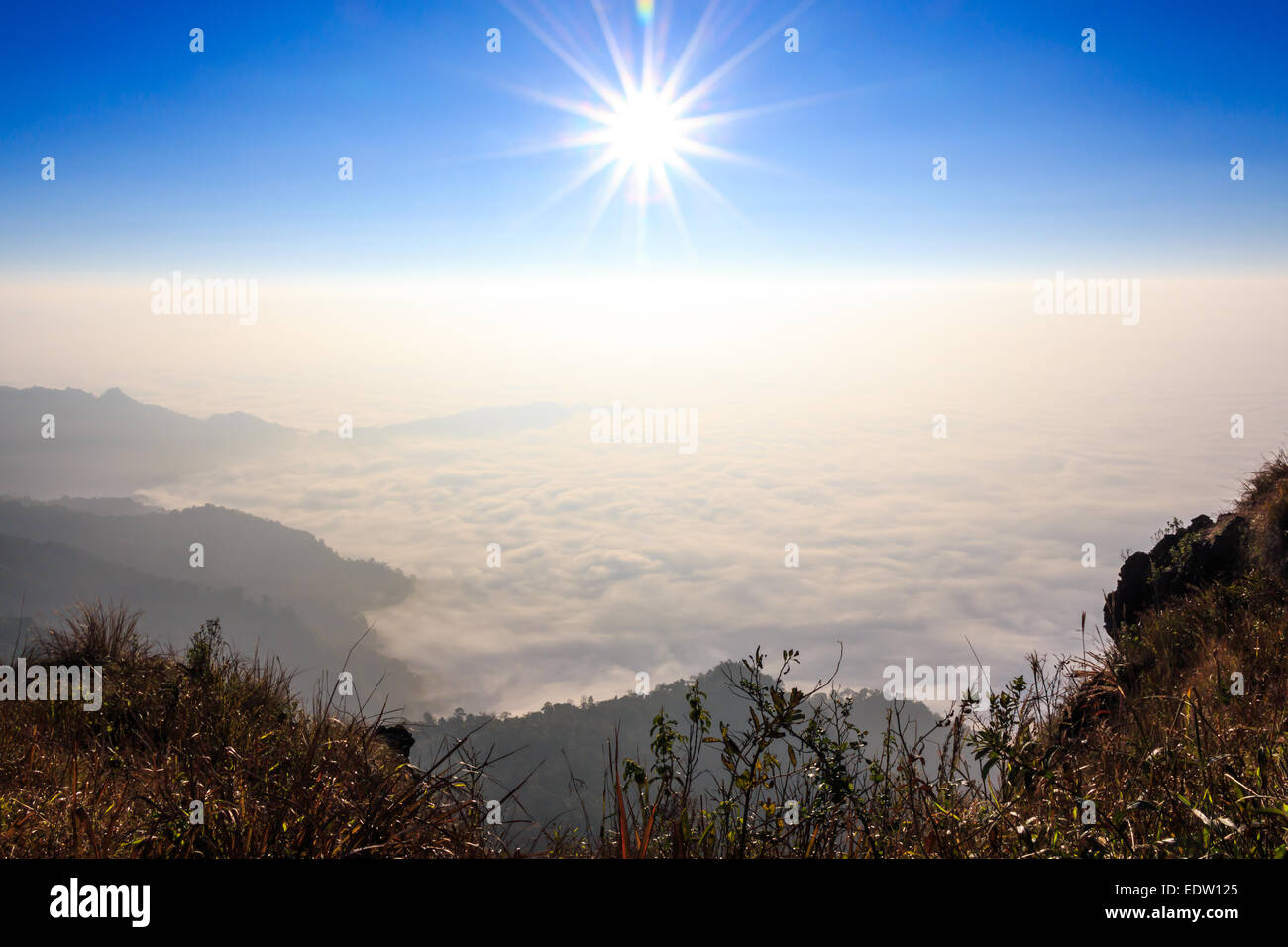 Sonnenaufgang und Nebelmeer Morgen in Phu Chi Fa, Chiangrai, Thailand Stockfoto