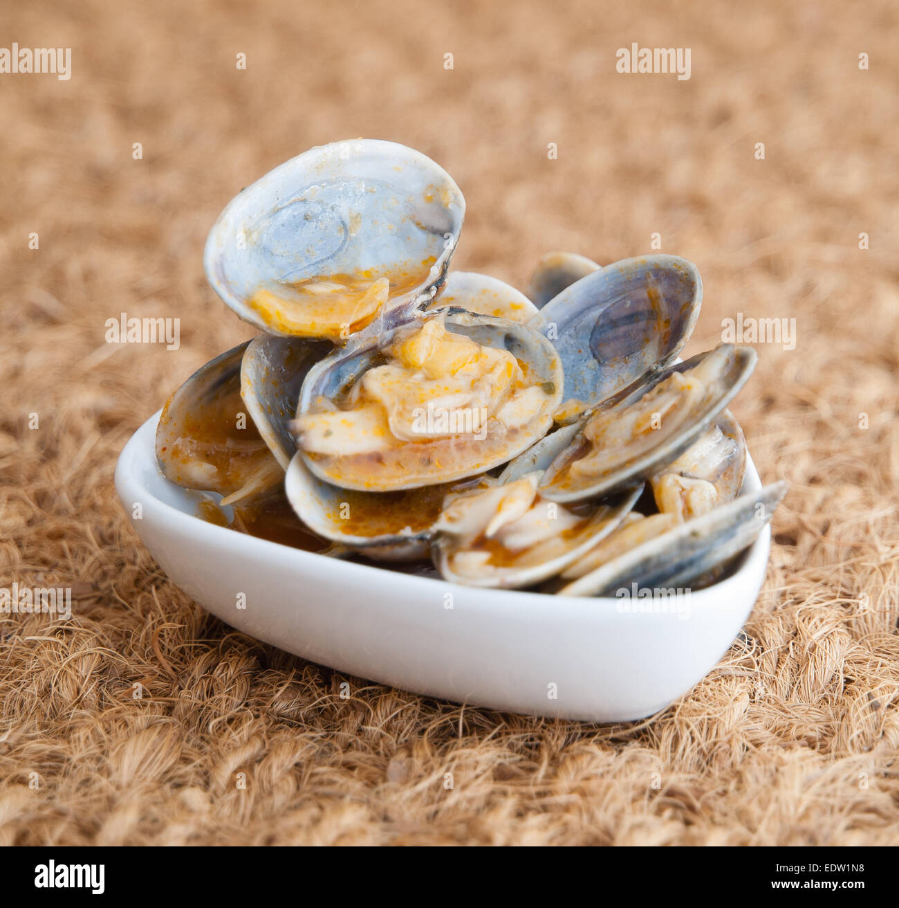 Muscheln in einer Studioaufnahme im Rezept &amp;quot;Almejas a la Marinera ...