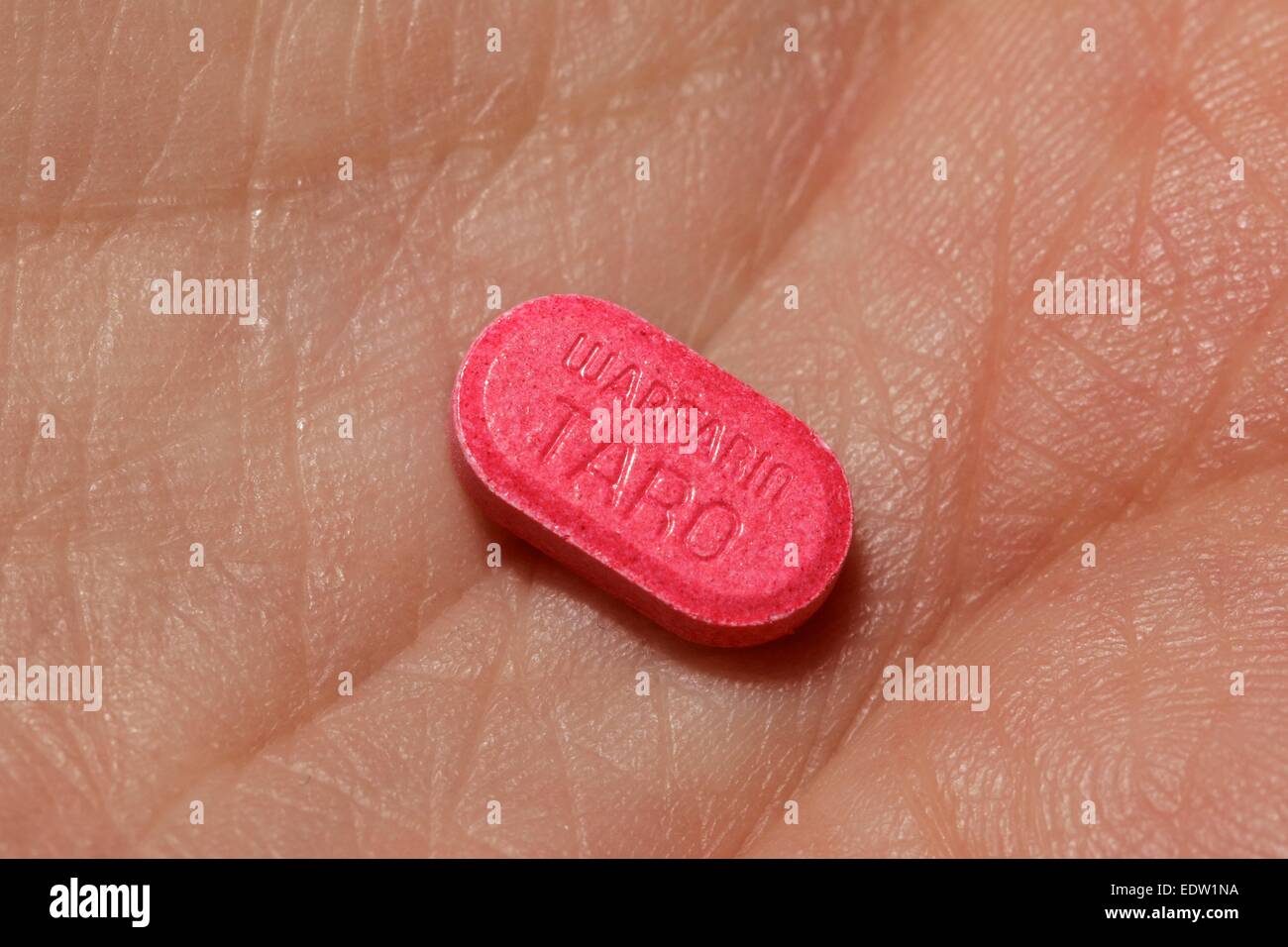 1 mg Warfarin-Tablette in die Handfläche. Generische Form von Coumadin. Stockfoto