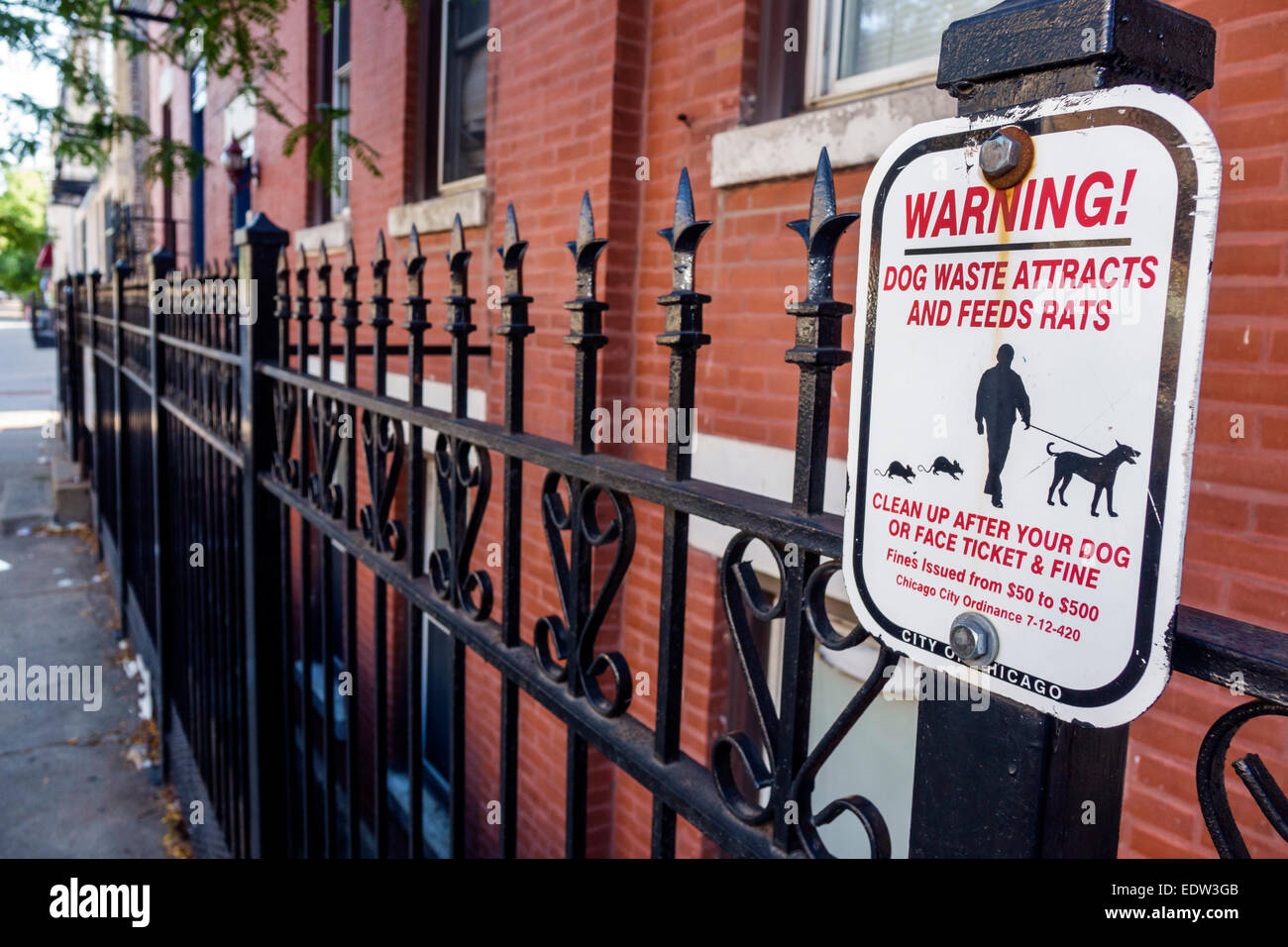 Chicago Illinois, Lower West Side, Schild, Warnung, Hundeabfall zieht Futtermittel Ratten, fein, aufräumen, IL140907087 Stockfoto