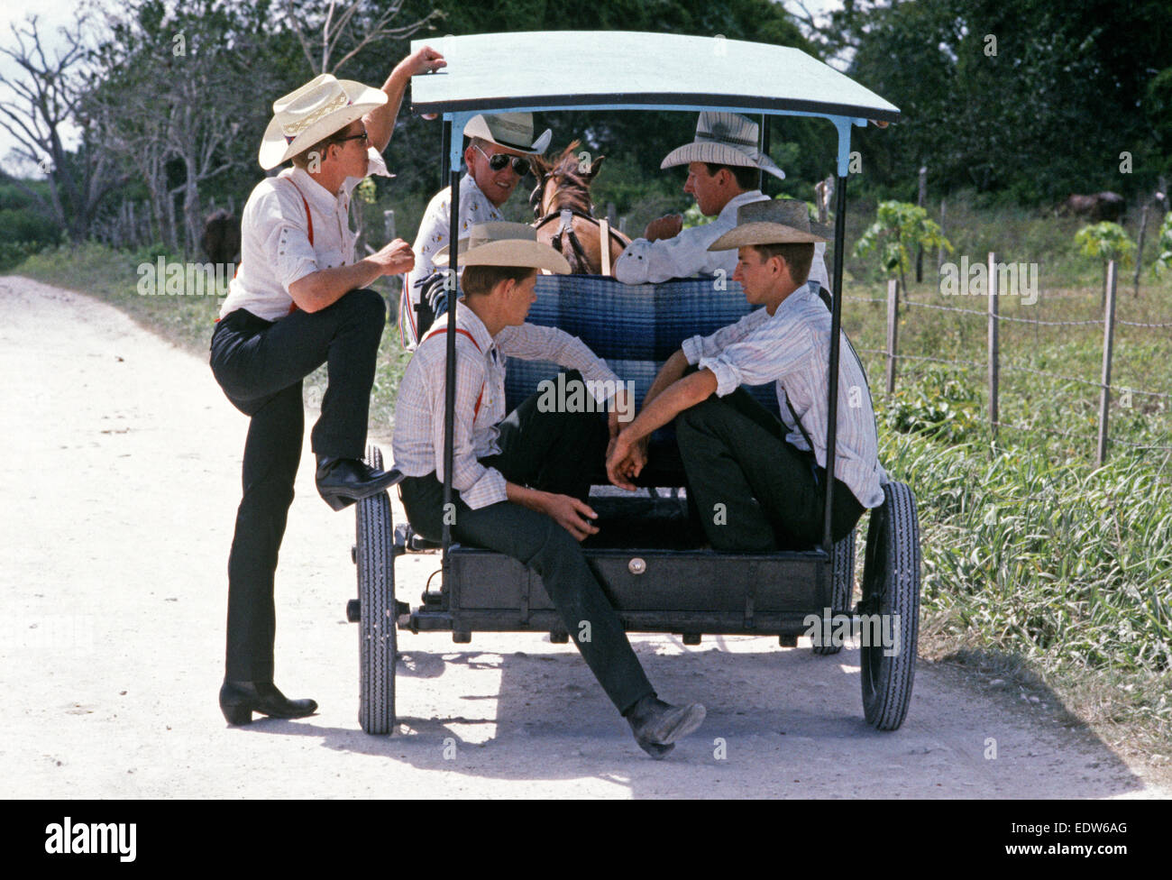 Young-Mennonite Männer in Pferd und Buggy von orthodoxen Gemeinden, Belize, Mittelamerika, Juni 1985 Stockfoto