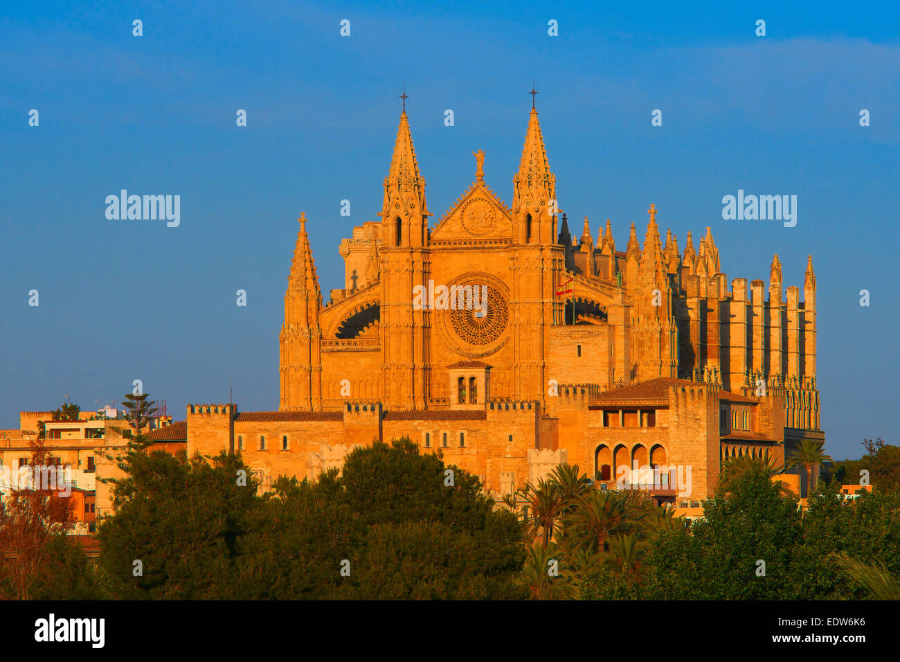 Palma De Mallorca, Kathedrale, Kathedrale La Seu, Palma, Mallorca, Balearen, Spanien, Europa Stockfoto