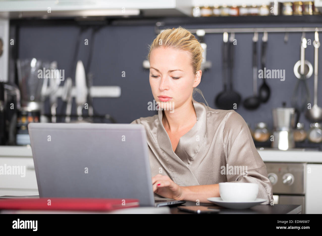 Business-Frau von zu Hause aus arbeiten. Stockfoto