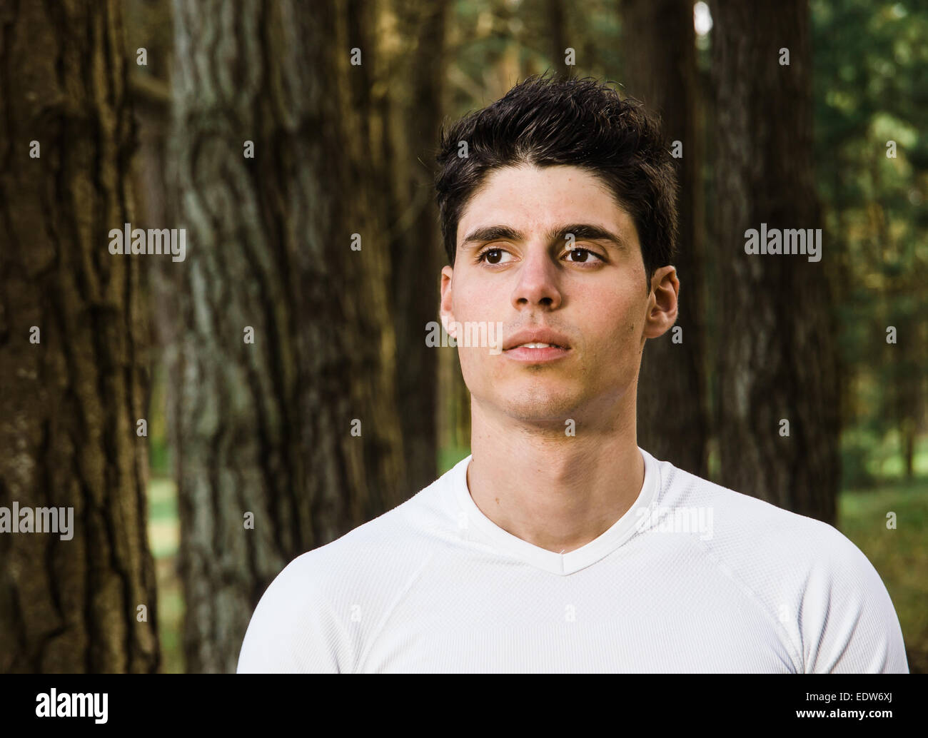 Junge Erwachsene Porträt im Wald Stockfoto