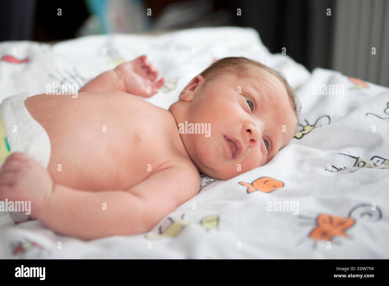 ein paar Tage alten Säugling mit Windel im Babybett ist Stockfoto