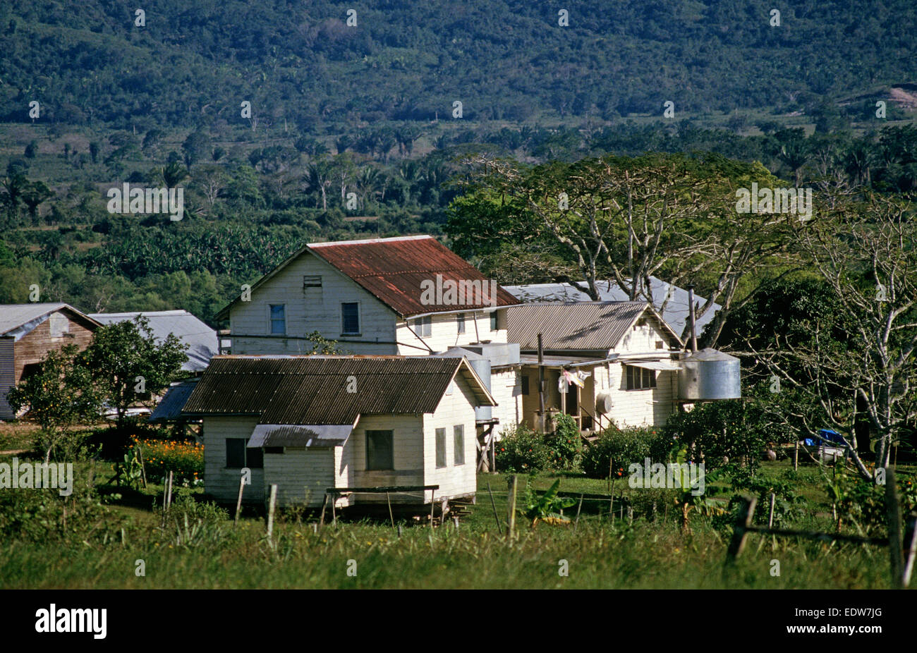 Mennonites belize Fotos und Bildmaterial in hoher Auflösung Alamy
