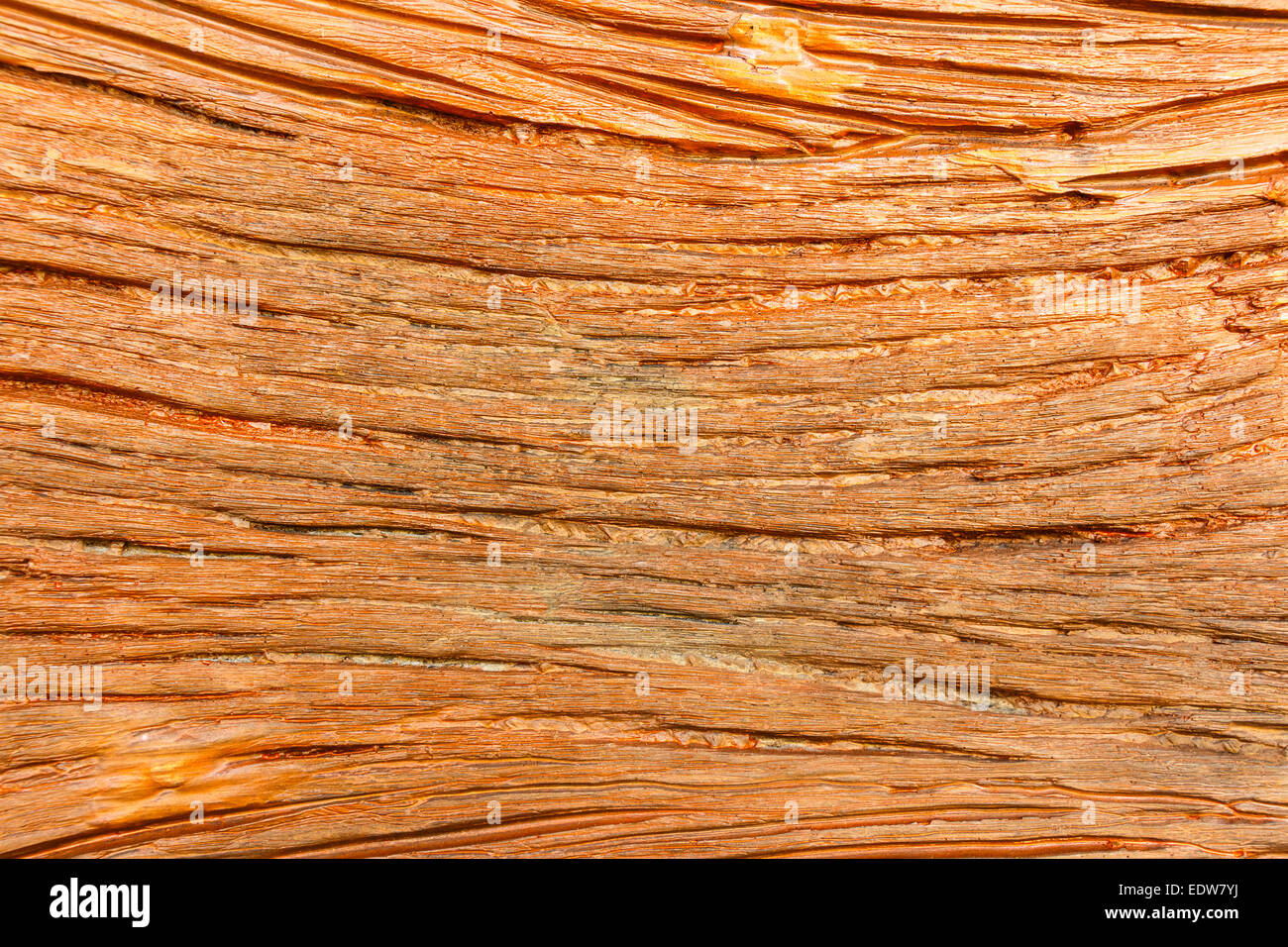 eine braune Holz Wand Textur in thailand Stockfoto