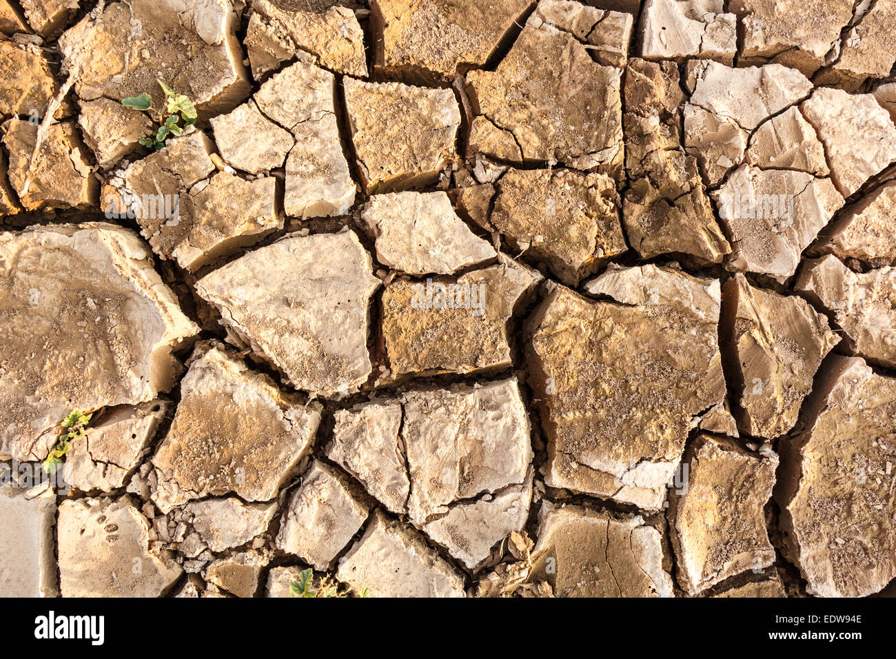 ein Riss Boden in trockenen Umgebung, Thailand Stockfoto
