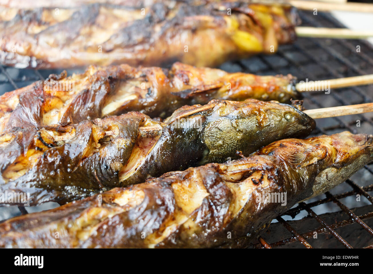 Catfishs wurden auf Grill (native Essen in Thailand) geröstet. Stockfoto
