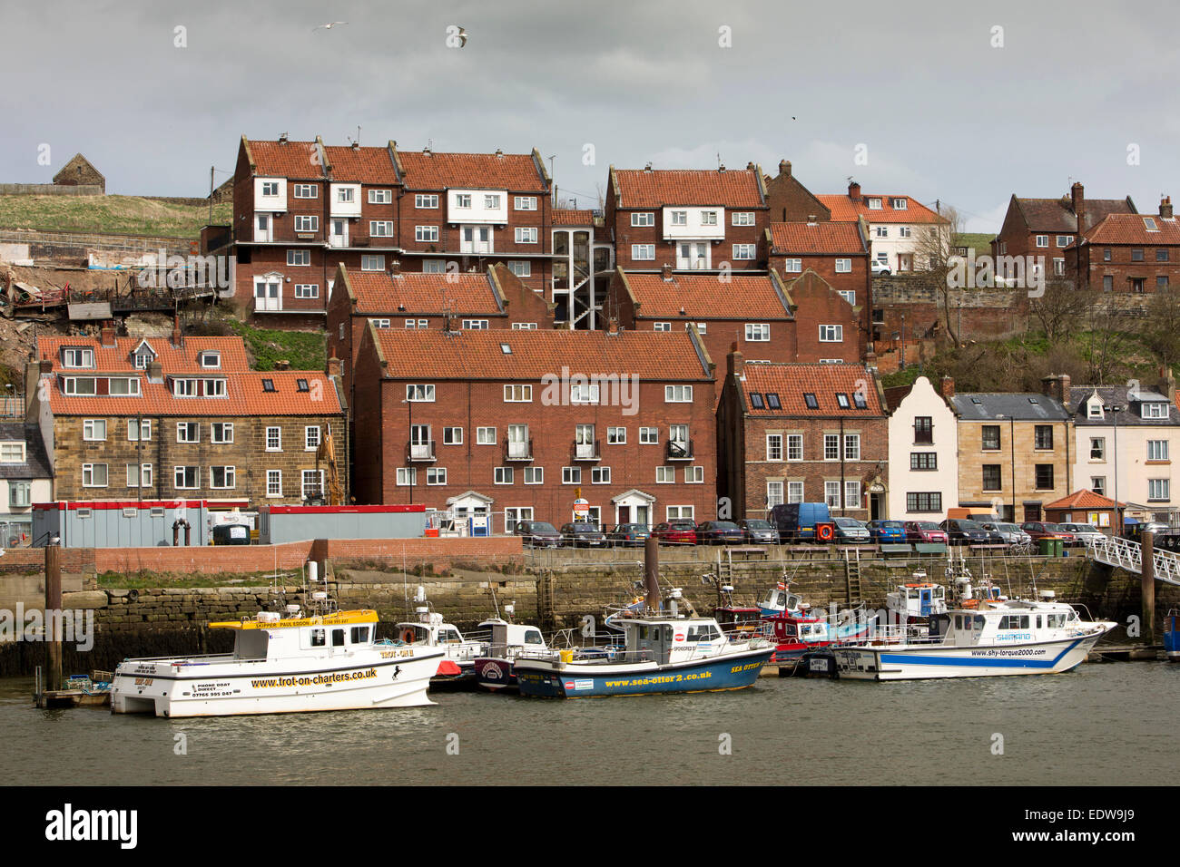 Großbritannien, England, Yorkshire, Whitby, charter-Boote vertäut im Hafen von oben Stockfoto