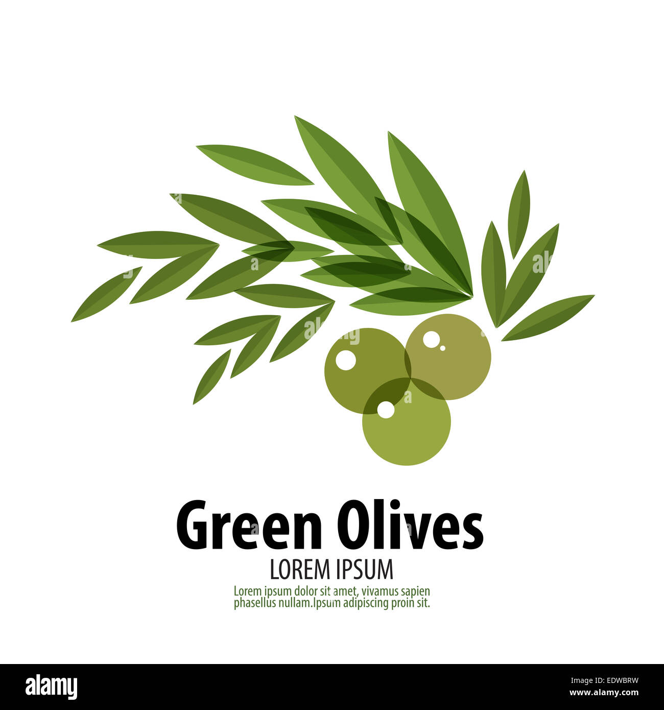 Isolated Olive Branch Vector Logo Stockfotos & Isolated Olive Branch