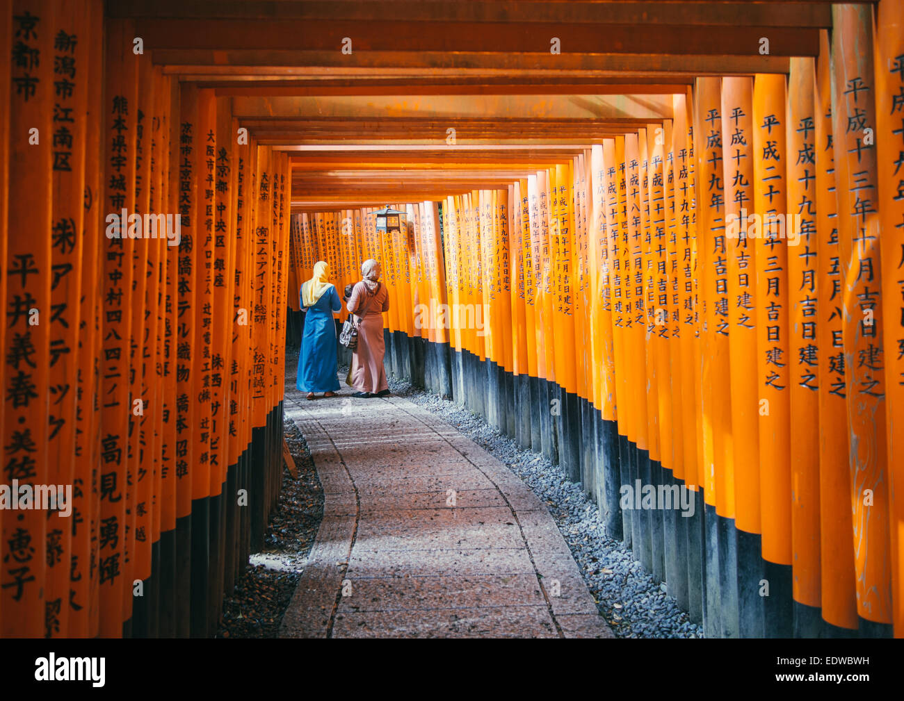 Licht, das durch den Fushimi Inari-Taisha-Schrein in Fushimi-Ku, Kyoto, Japan OLYMPUS Digitalkamera Stockfoto