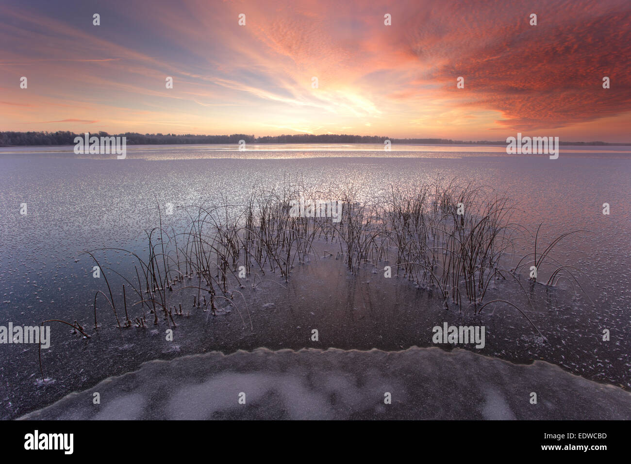 Gefrorene und frostig Saadjärv See im Winter bei Sonnenuntergang, Vooremaa Landschaftsschutzgebiet, Estland. Stockfoto