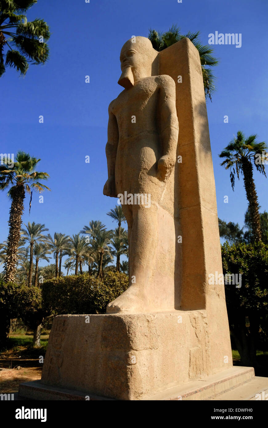 Statue von Pharao Ramses, Memphis, Ägypten Stockfoto