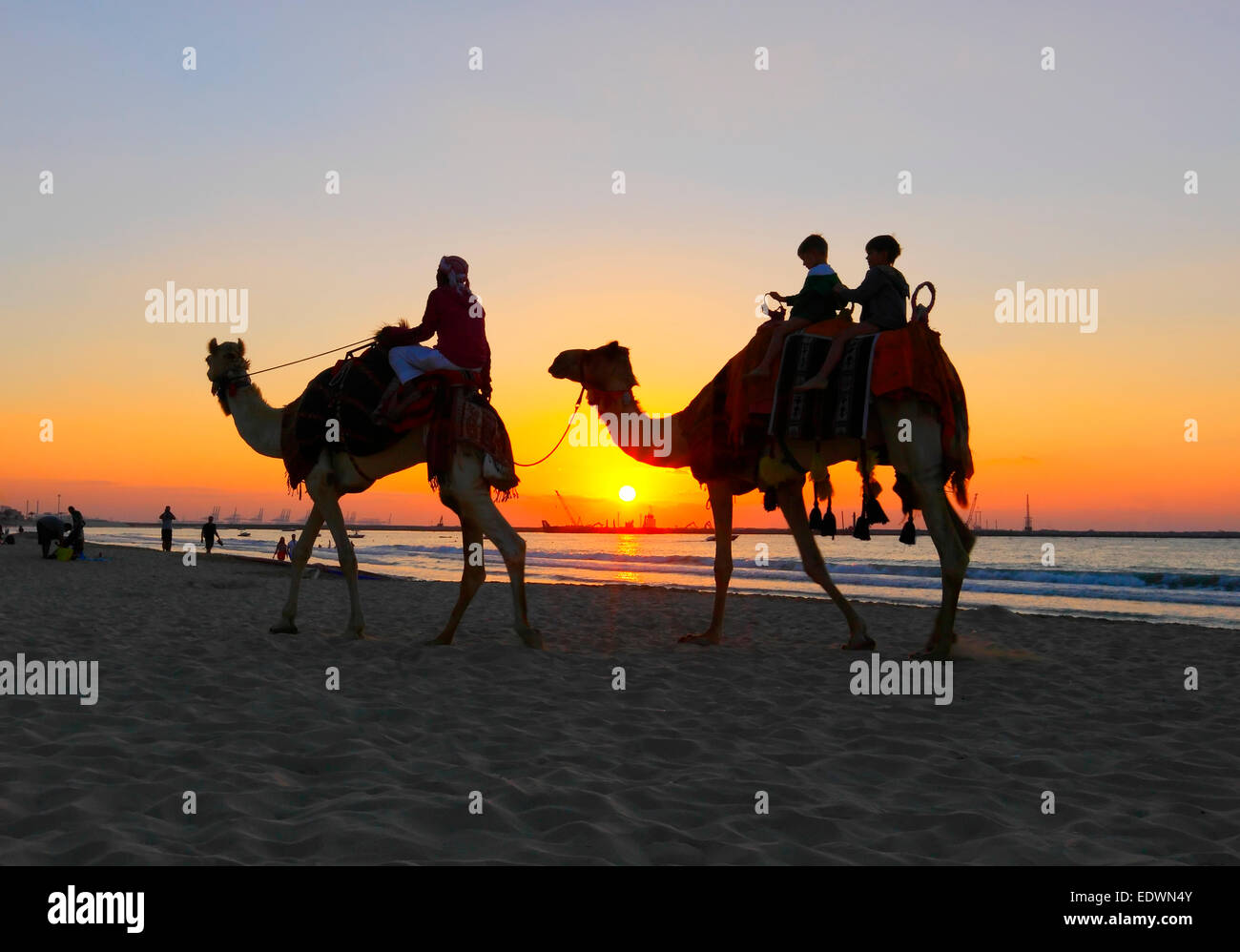 Kamelritt am Strand bei Sonnenuntergang in Dubai Stockfoto