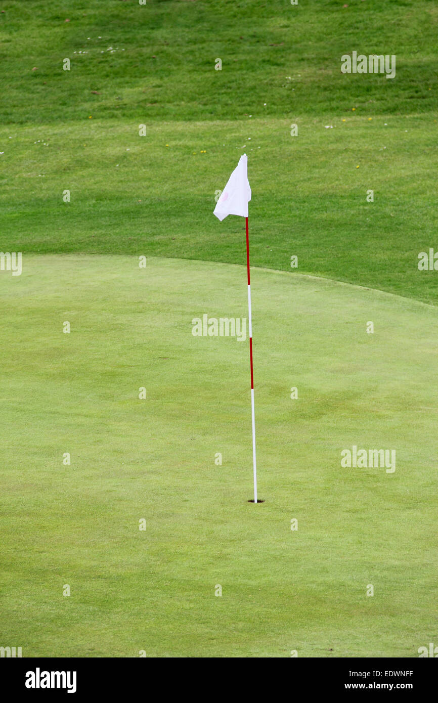 Golfflagge auf der grünen Wiese hautnah Stockfoto