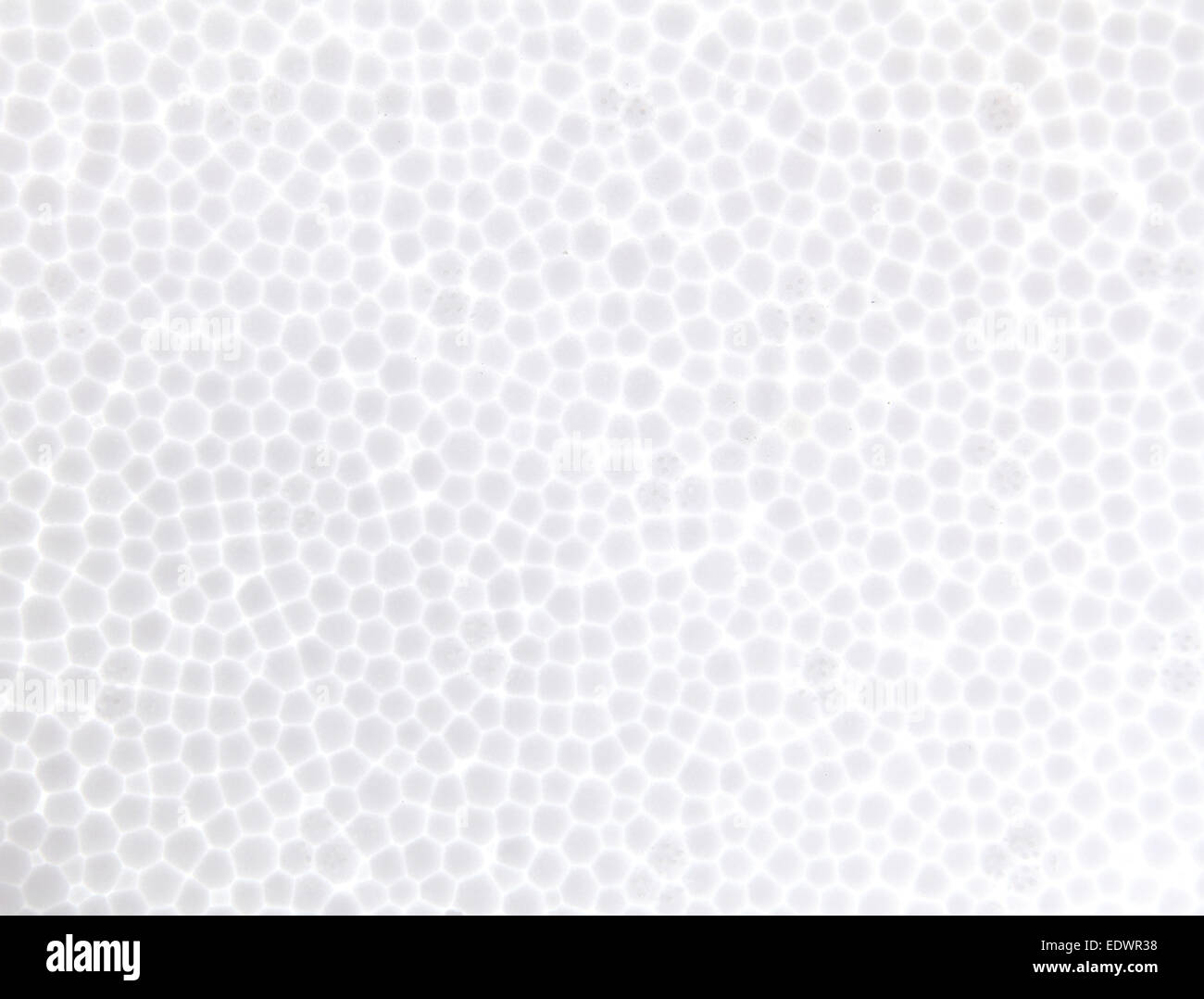 nahtloser Polystyrol Schaum-Textur-Hintergrund Stockfoto