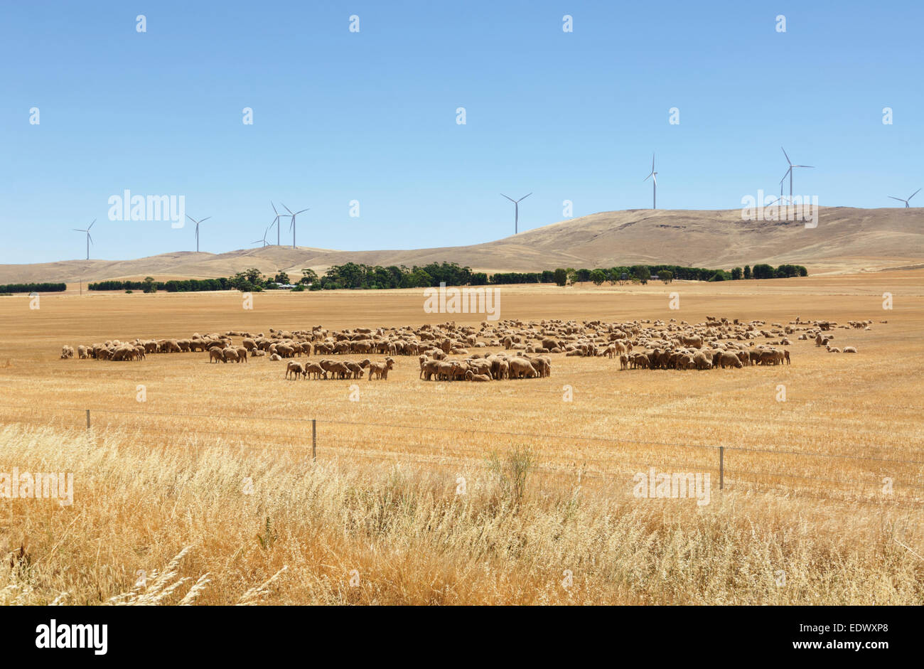 Windpark und landwirtschaftliche Grundstücke in der Nähe der Flinders Ranges, South Australia Stockfoto