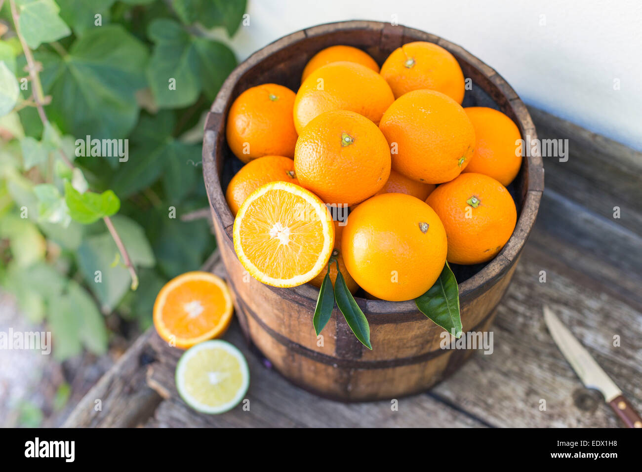 Eimer mit Orangen auf einer alten Holzbank gegen Efeu bedeckt weißen Wand Stockfoto